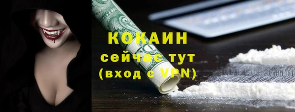 стаф Бородино