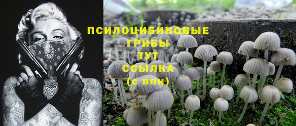 меф Бугульма