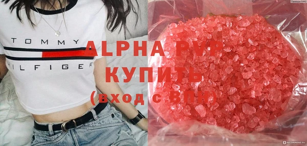 стаф Бородино