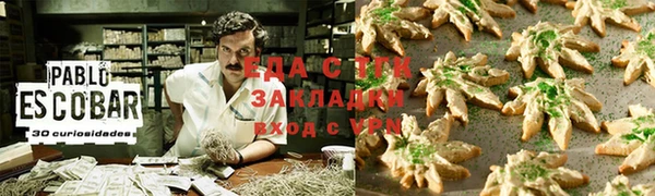 стаф Бородино