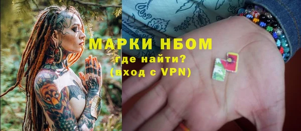 стаф Бородино