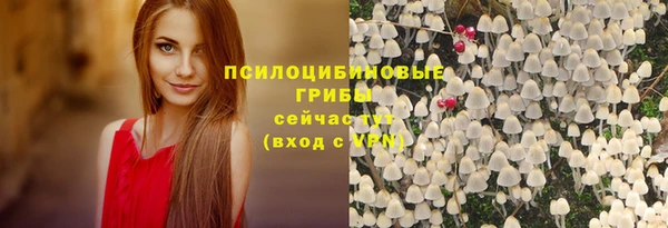 стаф Бородино