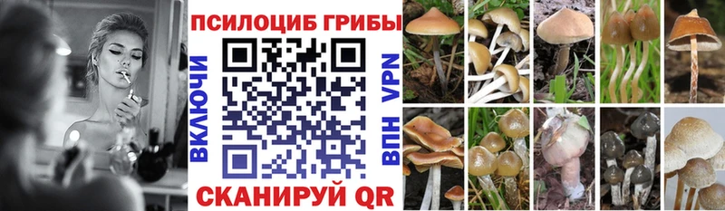 МЕГА онион  Славянск-на-Кубани  Галлюциногенные грибы Magic Shrooms 
