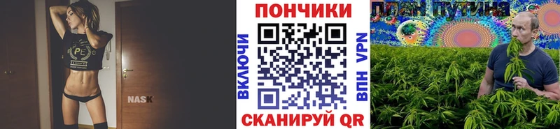 где найти наркотики  Славянск-на-Кубани  Каннабис Amnesia 